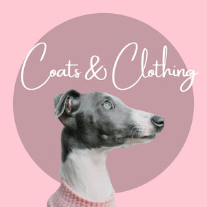 Dog | Coats | Dog | Hoodies | Dog | Clothes